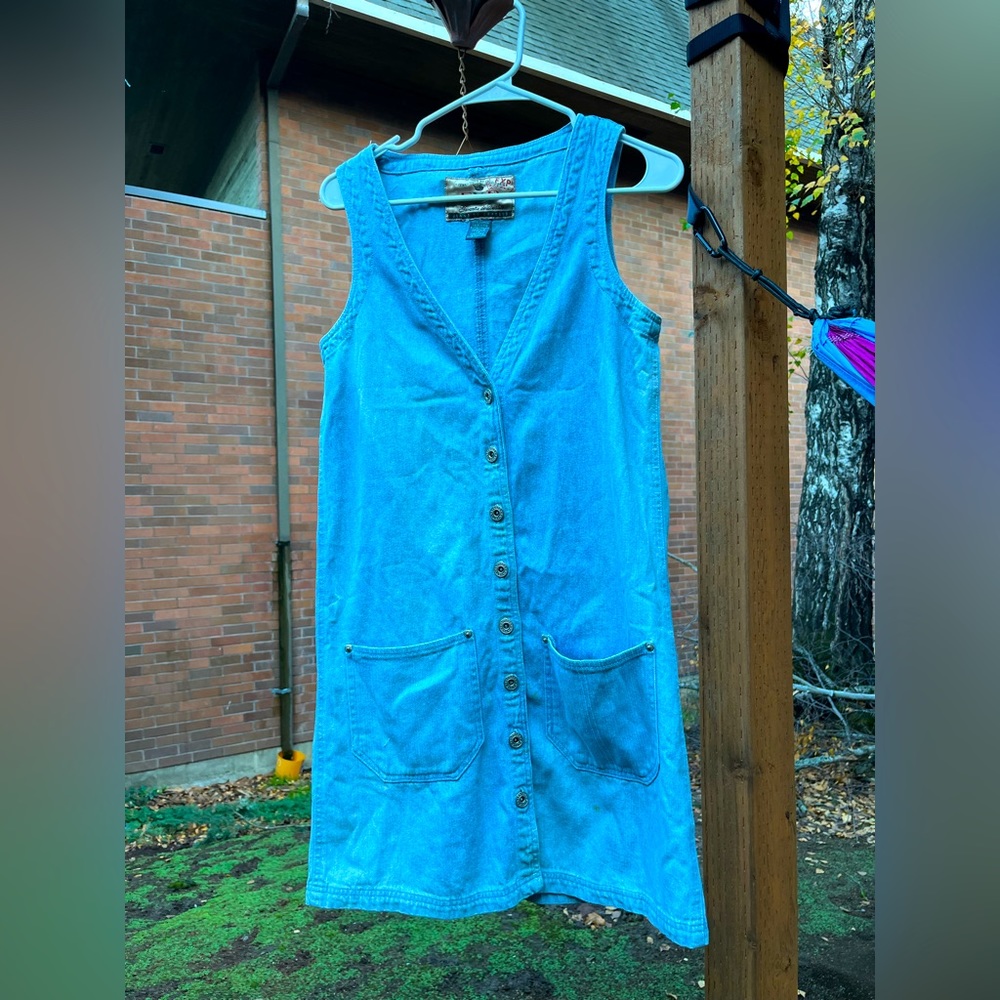 Vintage Express Denim Mini Dress
